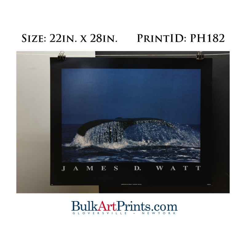 (22 x 28) Poster Art Prints PH182 James D. Watt Whale Tail Fin