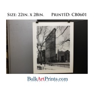 (22 x 28) Poster Art Prints CB0601 Chris Bliss Flat Iron Building