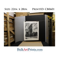 (22 x 28) Poster Art Prints CB0601 Chris Bliss Flat Iron Building