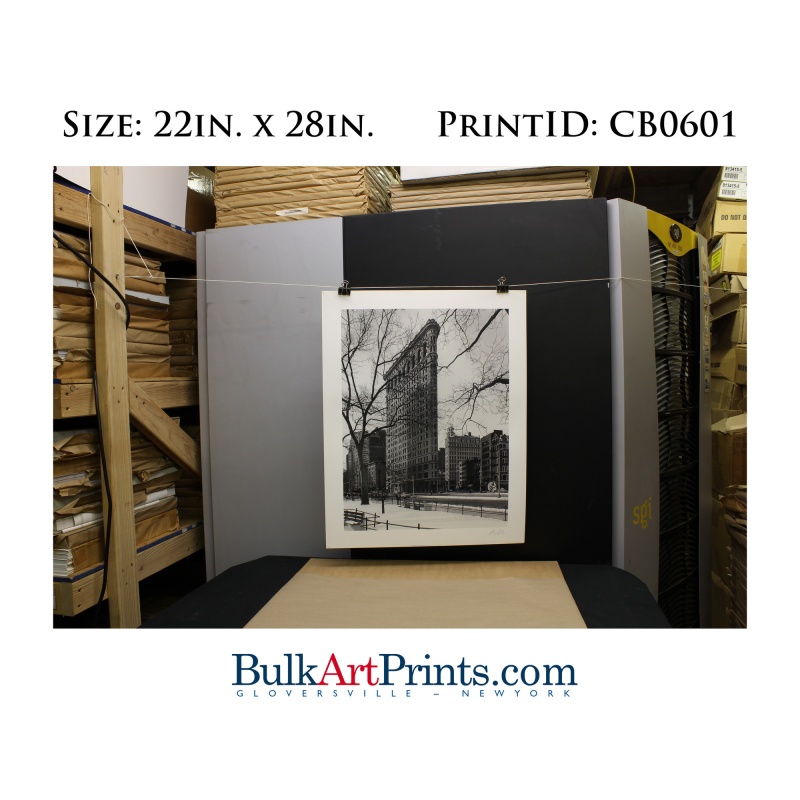 (22 x 28) Poster Art Prints CB0601 Chris Bliss Flat Iron Building