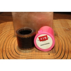 Vintage Filmstrip 475: Hawthorne