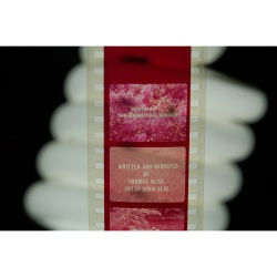 Vintage Filmstrip 485:  Whitman- The American Singer