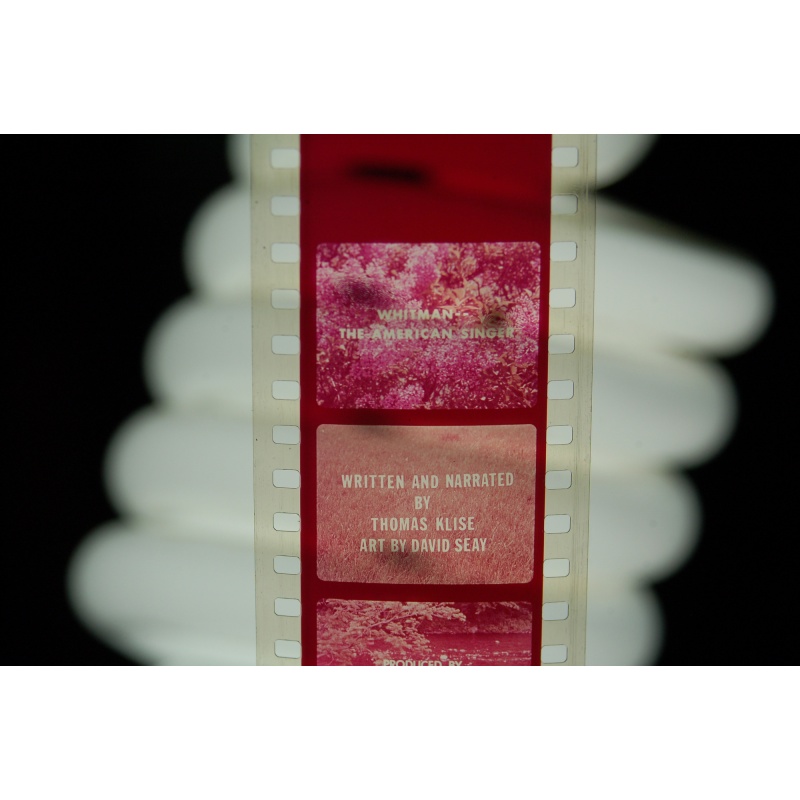 Vintage Filmstrip 485:  Whitman- The American Singer