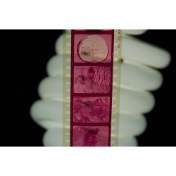 Vintage Filmstrip 530: Religion In Roman Life Se 28496