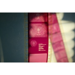 Vintage Filmstrip 530: Religion In Roman Life Se 28496