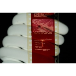 Vintage Filmstrip 580: Por El Camino