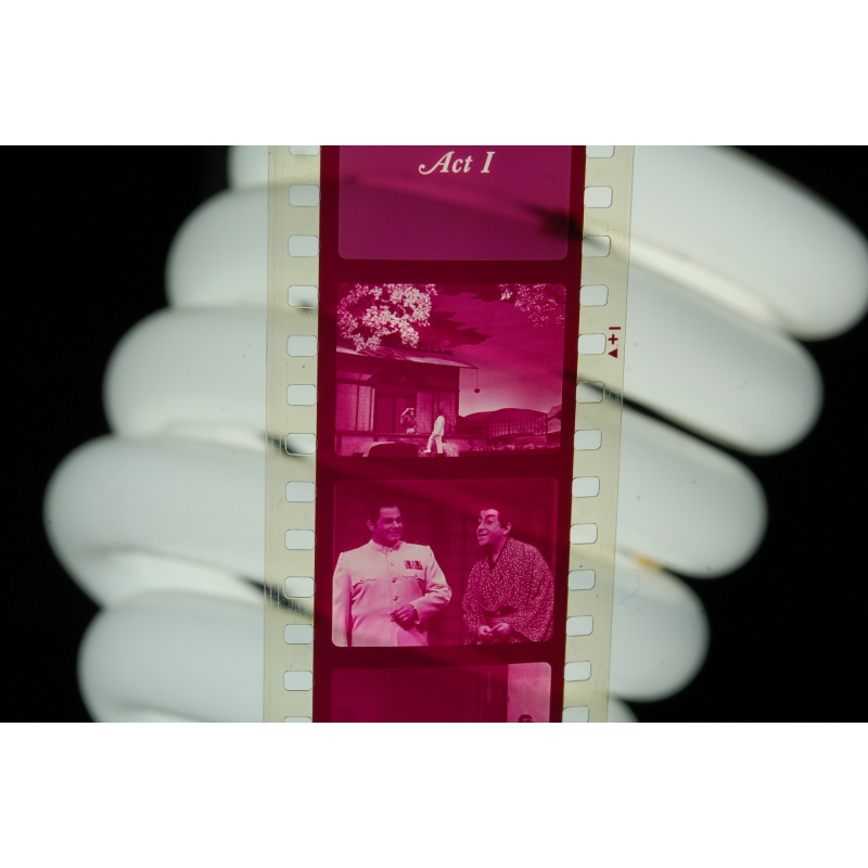 Vintage Filmstrip Madama Butterfly