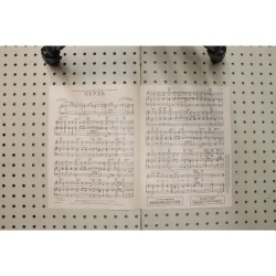 1951 - Never - Golden girl - Sheet Music