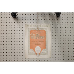 1923 - The wildflower you never can blame a girl for dreaming - Sheet Music