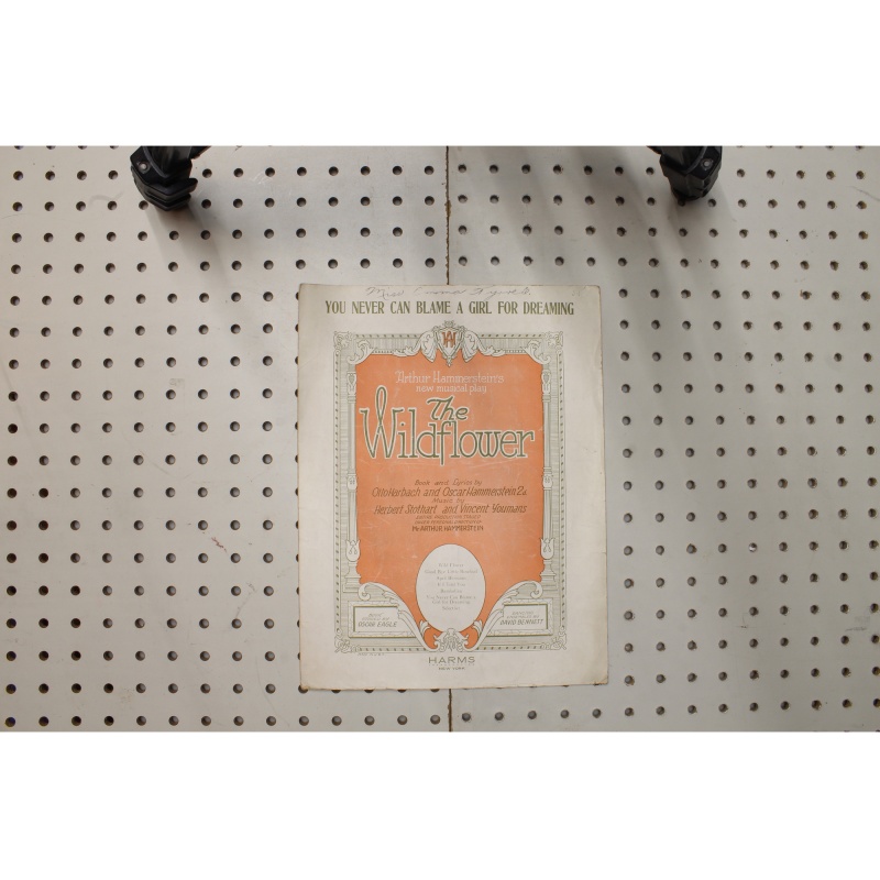 1923 - The wildflower you never can blame a girl for dreaming - Sheet Music