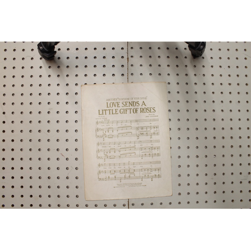 1923 - The wildflower you never can blame a girl for dreaming - Sheet Music