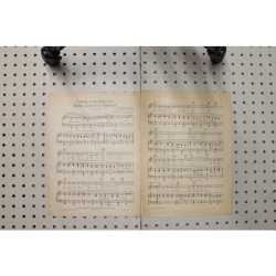 1926 - Looking at the world through rose colored glasses - Sheet Music