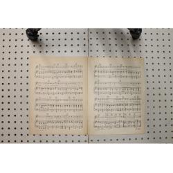 1926 - Looking at the world through rose colored glasses - Sheet Music