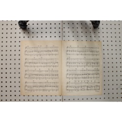 1926 - Looking at the world through rose colored glasses - Sheet Music