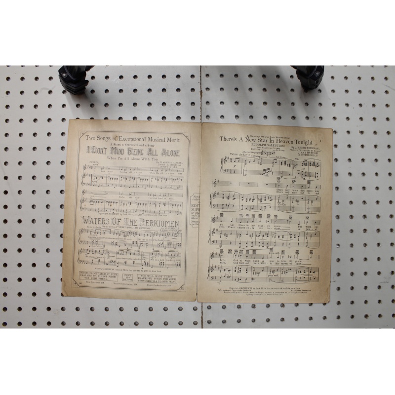 1926 - Theres a new star in heaven tonight Rudolph Valentino - Sheet Music