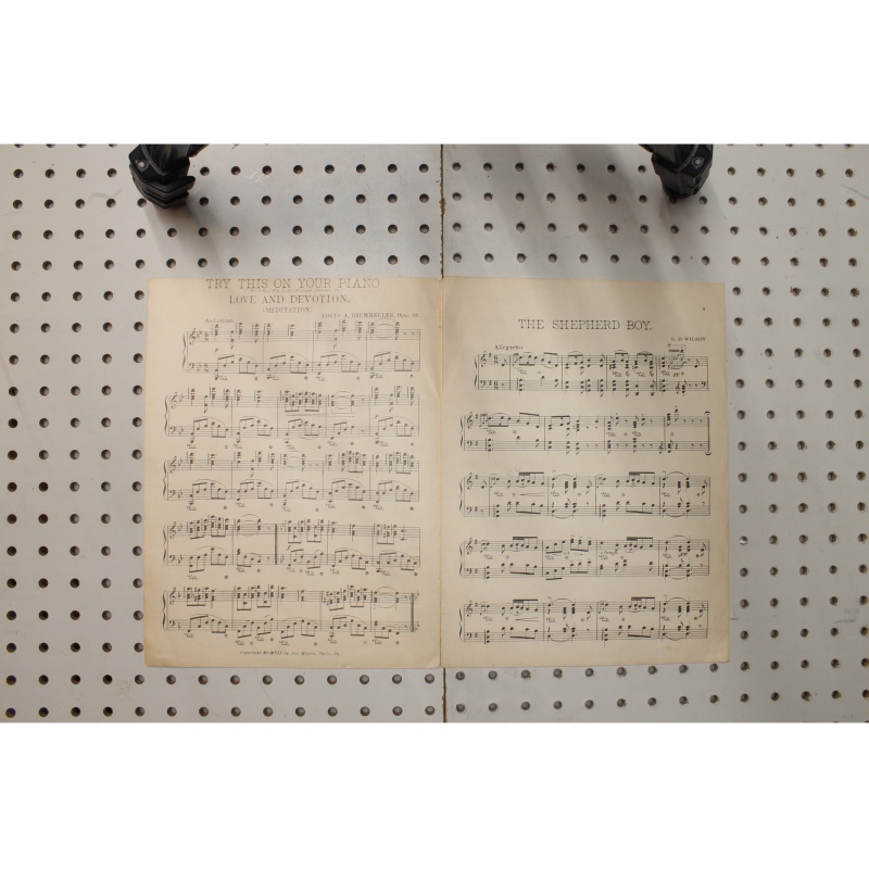 1907 - Shepherd boy - Sheet Music