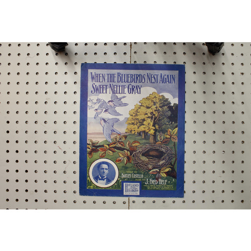 1907 - When the blue birds nest again sweet Nellie Gray - Sheet Music