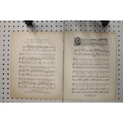 1911 - Will the roses bloom in heaven - Sheet Music