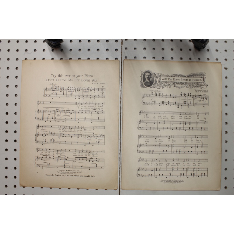 1911 - Will the roses bloom in heaven - Sheet Music