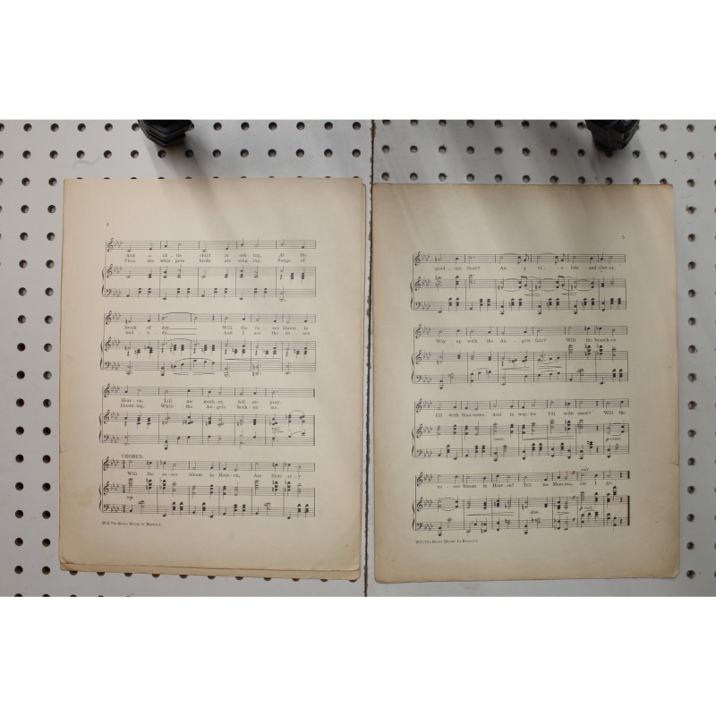 1911 - Will the roses bloom in heaven - Sheet Music