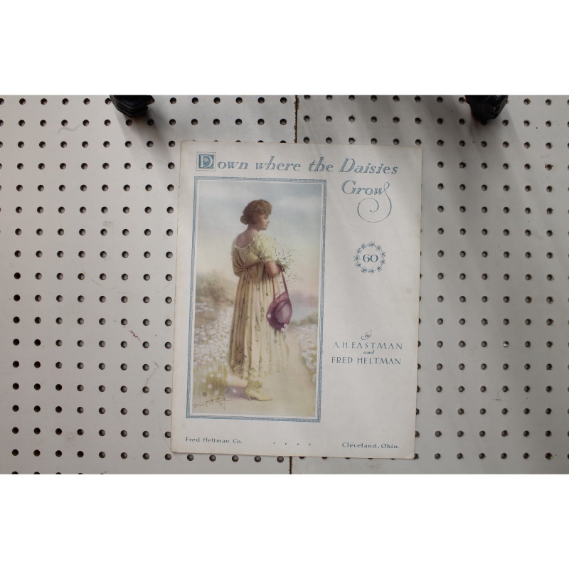 1917 - Down where the daisies grow - Sheet Music