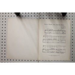 1917 - Down where the daisies grow - Sheet Music