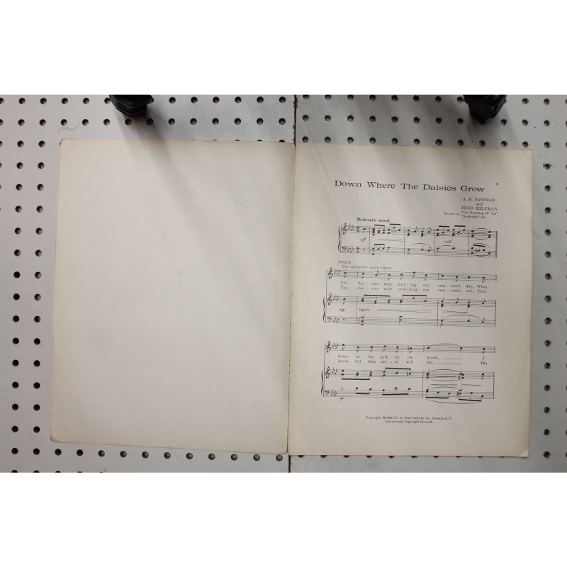 1917 - Down where the daisies grow - Sheet Music