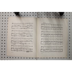 1917 - Down where the daisies grow - Sheet Music