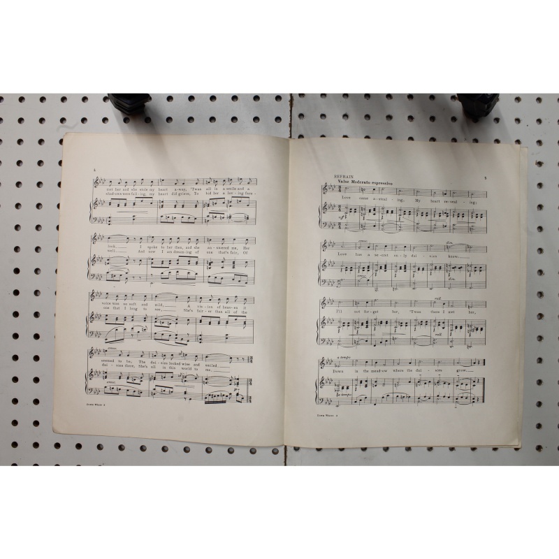 1917 - Down where the daisies grow - Sheet Music
