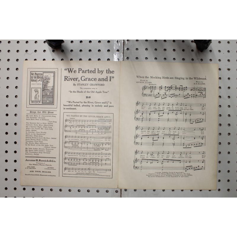 1906 - When the mockingbirds are singing in the Wildwood - Sheet Music