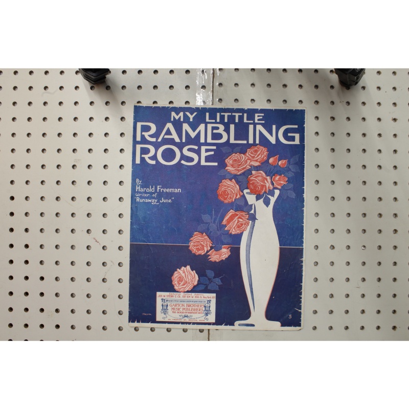 1917 - My little rambling Rose - Sheet Music