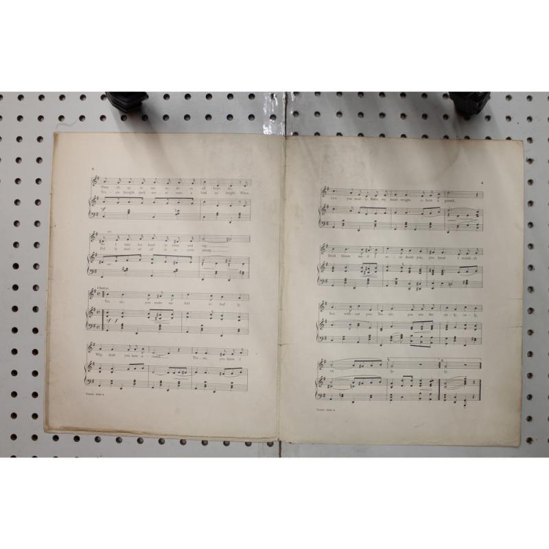 1902 - Tessie you are the only only only - Sheet Music