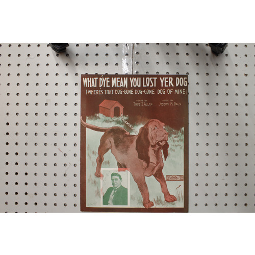 1913 - What Dye  mean you lost yer dog - Sheet Music