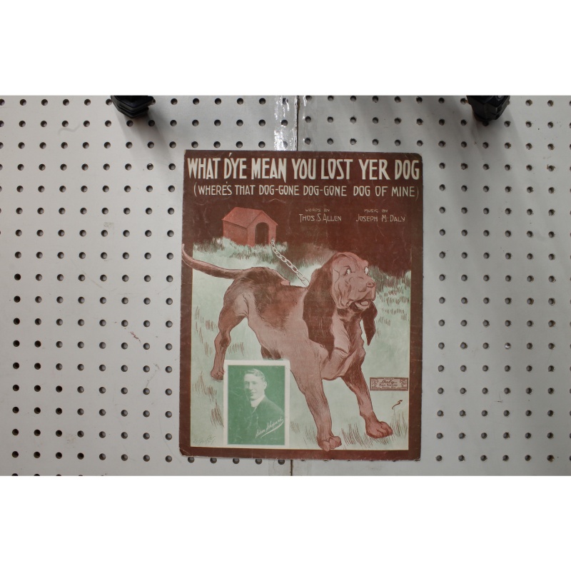 1913 - What Dye  mean you lost yer dog - Sheet Music