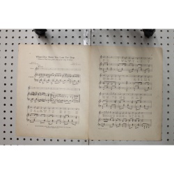 1913 - What Dye  mean you lost yer dog - Sheet Music