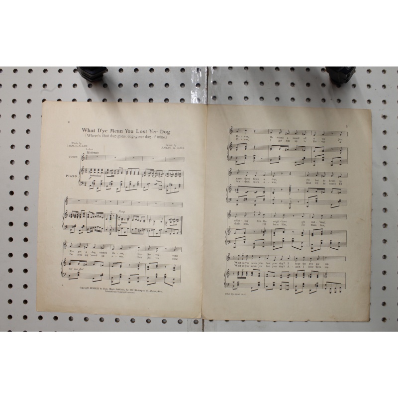 1913 - What Dye  mean you lost yer dog - Sheet Music