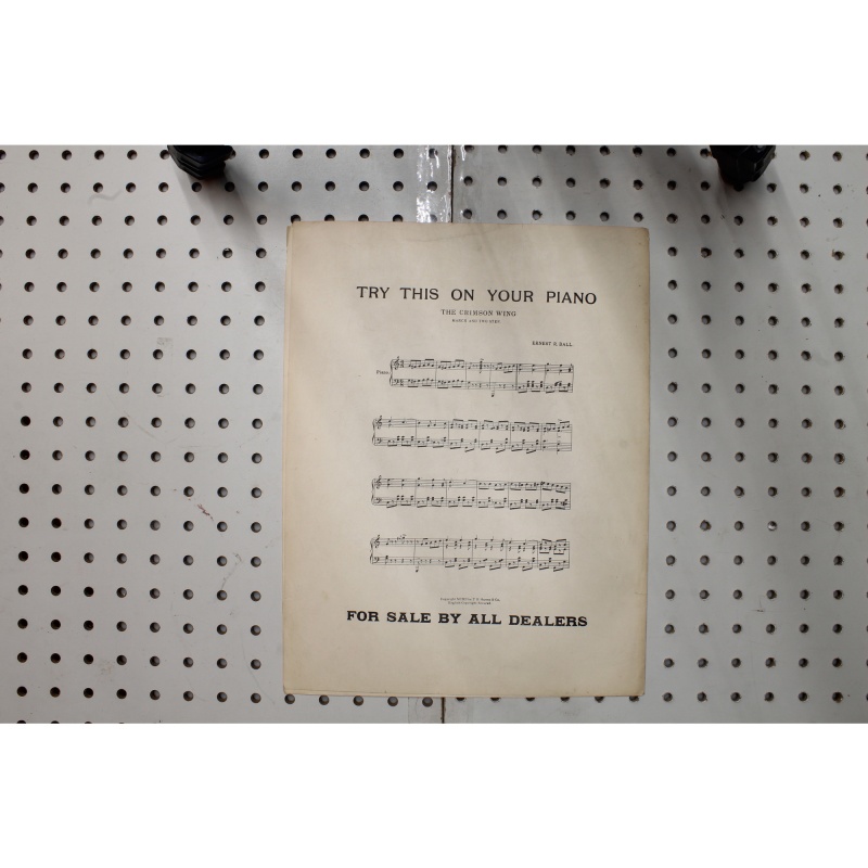 1901 - Cupids garden - Sheet Music