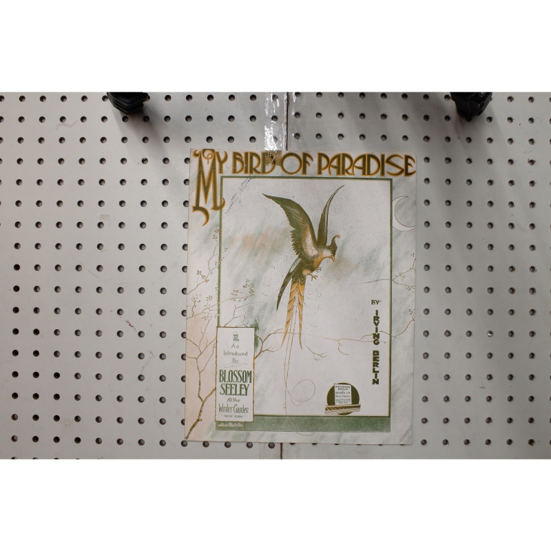 1915 - My bird of paradise - Sheet Music