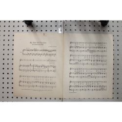 1915 - My bird of paradise - Sheet Music