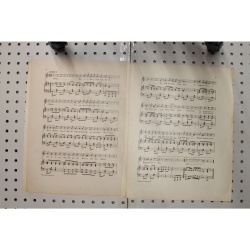 1913 - What Dye  mean you lost yer dog - Sheet Music