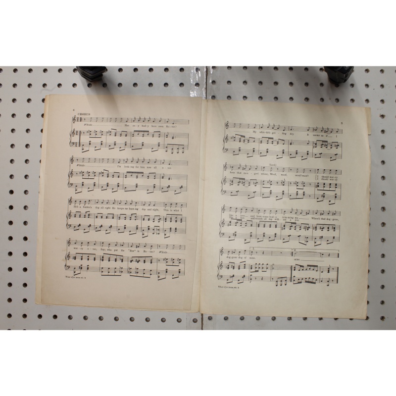 1913 - What Dye  mean you lost yer dog - Sheet Music