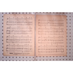 1925 - Pal of my cradle days - Sheet Music
