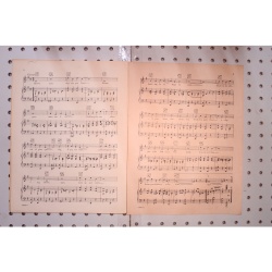 1925 - Brown eyes why are you blue - Sheet Music