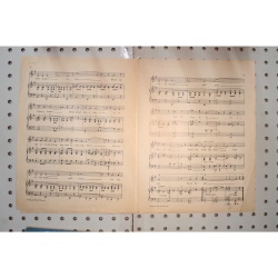 1922 - Ziegfeld follies of 1922 neath the South Sea moon - Sheet Music