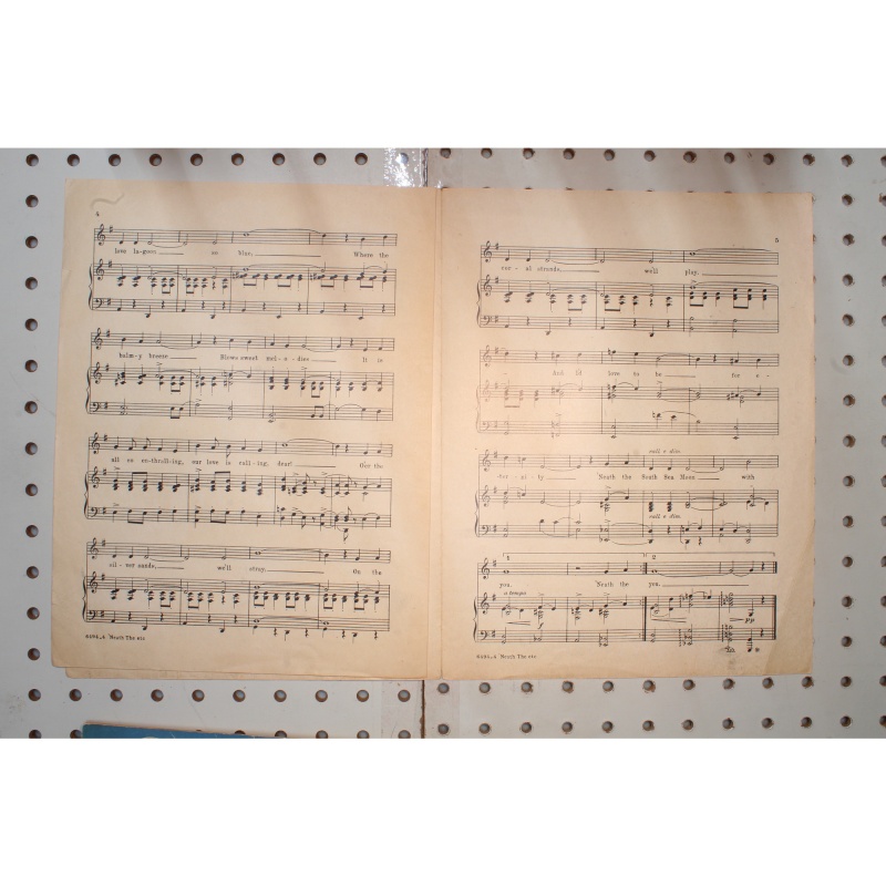 1922 - Ziegfeld follies of 1922 neath the South Sea moon - Sheet Music