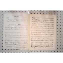 1967 - Aquarius hair - Sheet Music