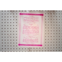 1954 - Hot Diggity dog Ziggity boom - Sheet Music