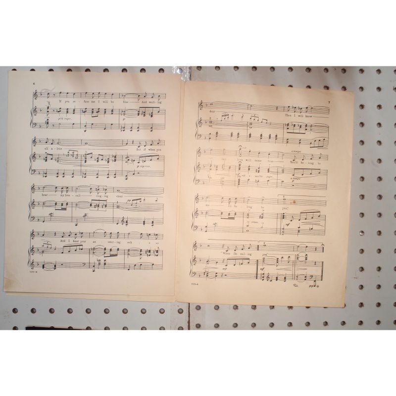 1924 - Rose marie Indian love call - Sheet Music