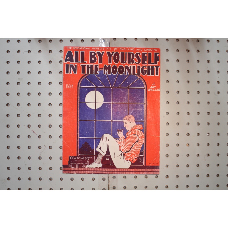 1928 - All by yourself in the moonlight - Sheet Music