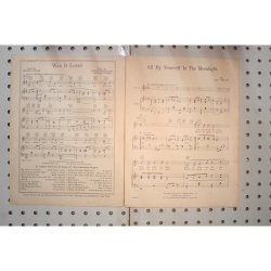 1928 - All by yourself in the moonlight - Sheet Music